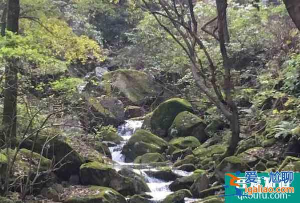 2021冬季洛阳白云山森林防火期封闭部分旅游步道？