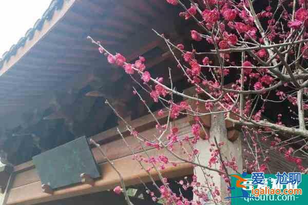 2022杭州超山梅花节时间及门票价格？