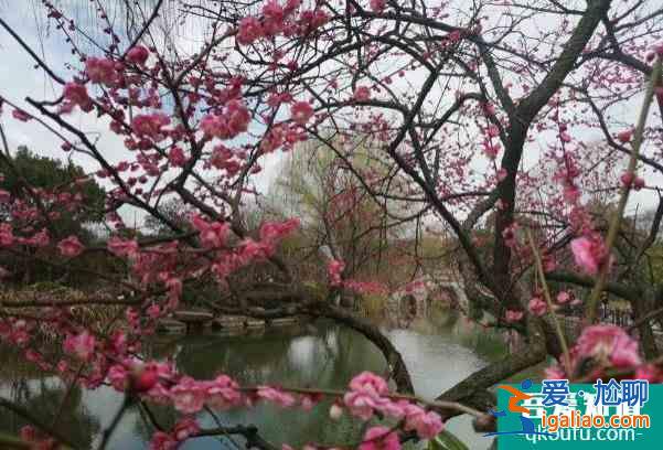 2022杭州超山梅花节时间及门票价格？