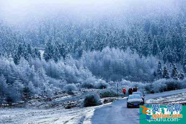 重庆周边玩雪攻略 重庆周边看雪的旅游景点？