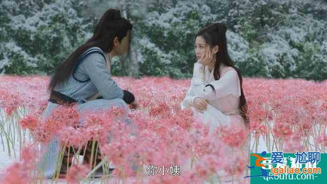 《暮白首》张慧雯不被认可收视差；《漂亮书生》宋威龙颜值降口碑？