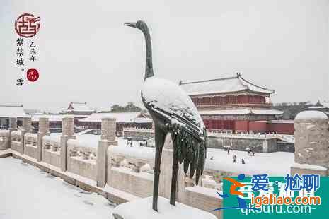 故宫哪里看雪景比较好?这几个地方是绝美的拍照胜地？