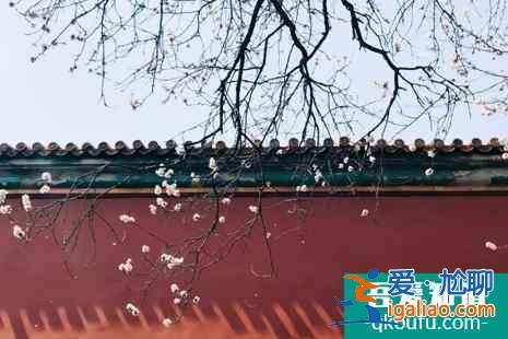 清明节故宫开放吗 清明节故宫赏花攻略？