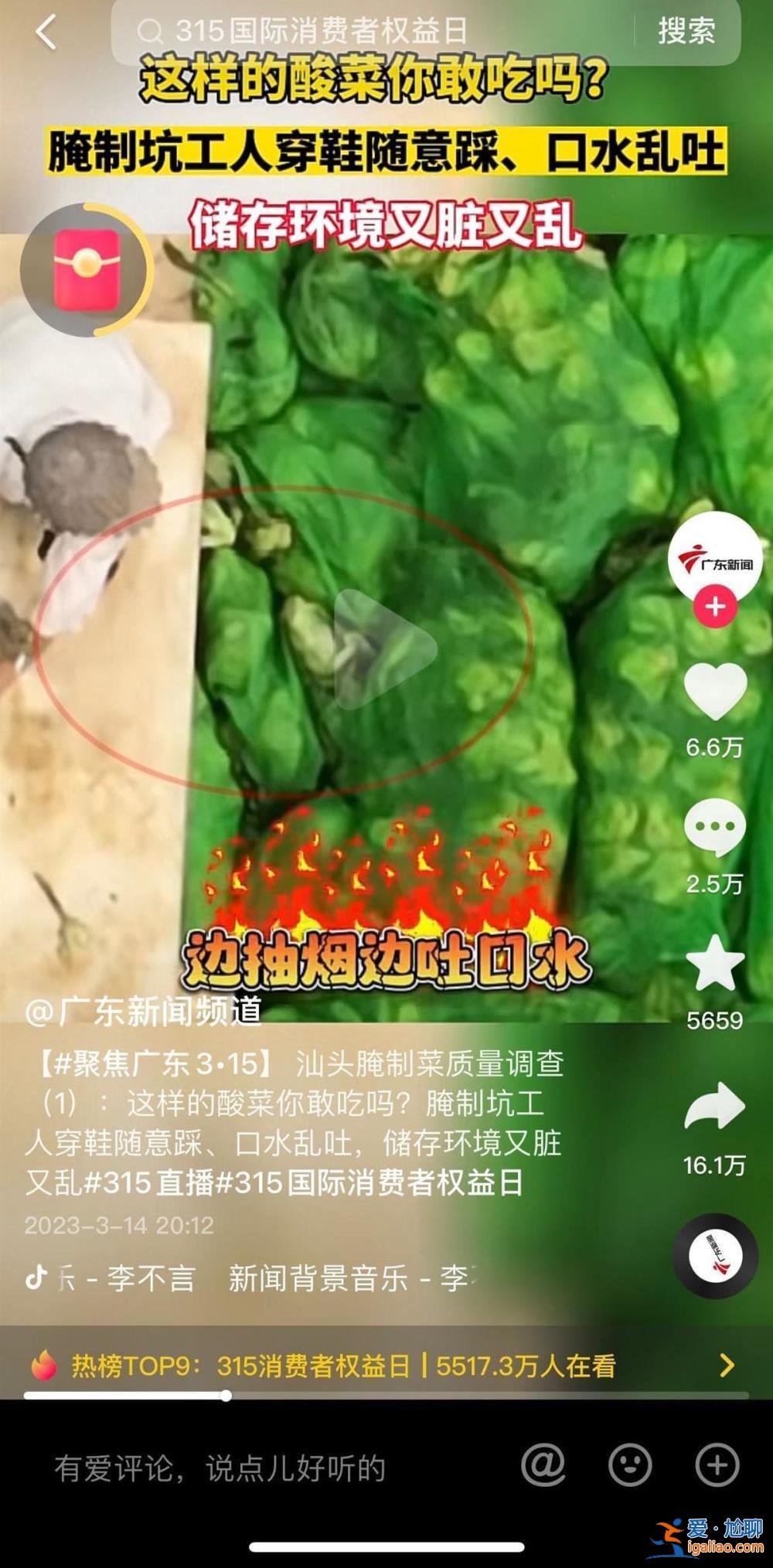 苍蝇乱飞污水横流 工人称“全天下都这么做”？