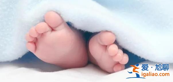 媒体评3孩教育免费，很多网友并不买账[媒体评3孩]？