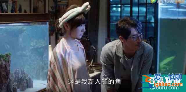 佟丽娅拒演的《三十而已》爆了，网友：多谢她的不演之恩？