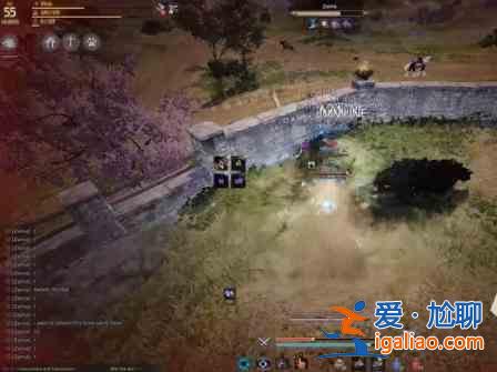 黑色沙漠驯兽师怎么样？黑色沙漠驯兽师角色强度分析？