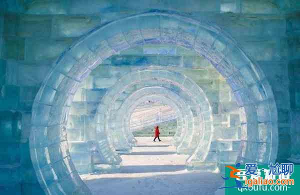 2022哈尔滨冰雪大世界游玩攻略 附项目推荐？