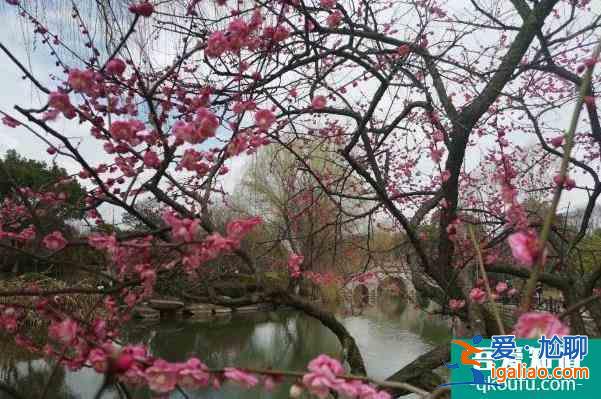 2022杭州超山风景区门票优惠？