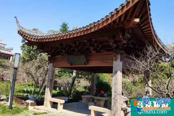 2022杭州超山风景区门票优惠？