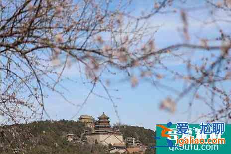 颐和园桃花什么时候开2022(附观赏攻略)？