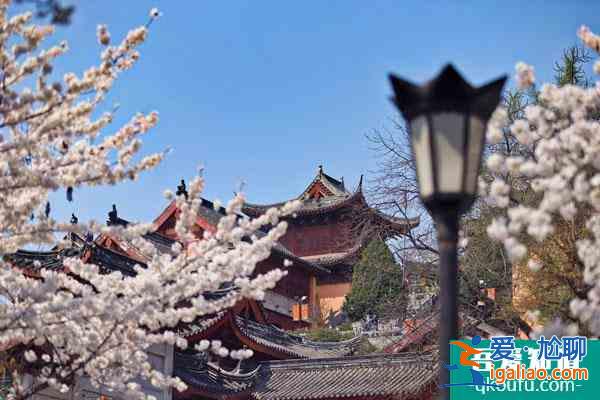 2022南京各大寺庙春节期间开放吗？