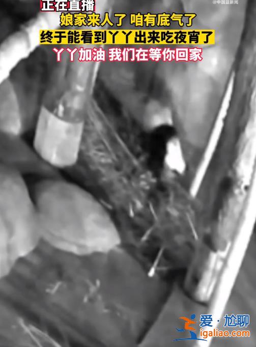 娘家来人了 咱有底气了！？
