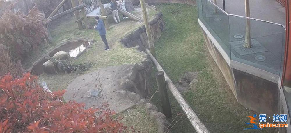 娘家来人了 咱有底气了！？