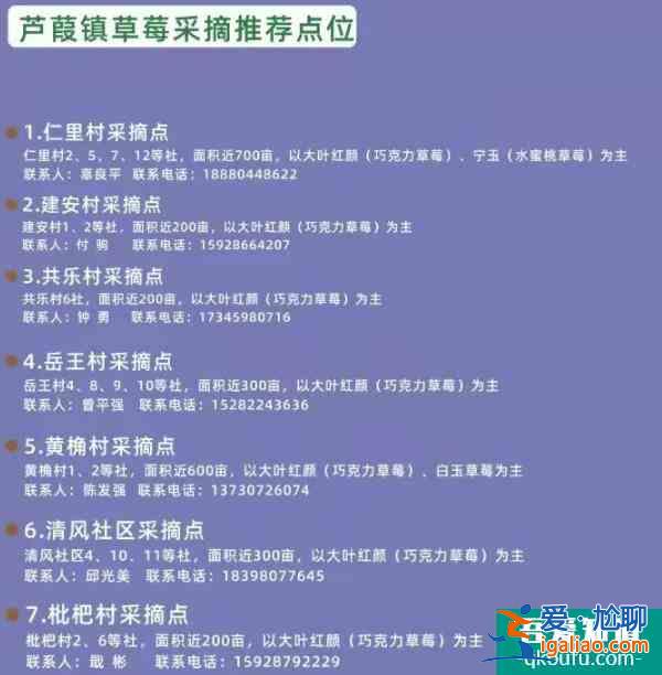 成都冬天哪里可以摘草莓 草莓采摘攻略？