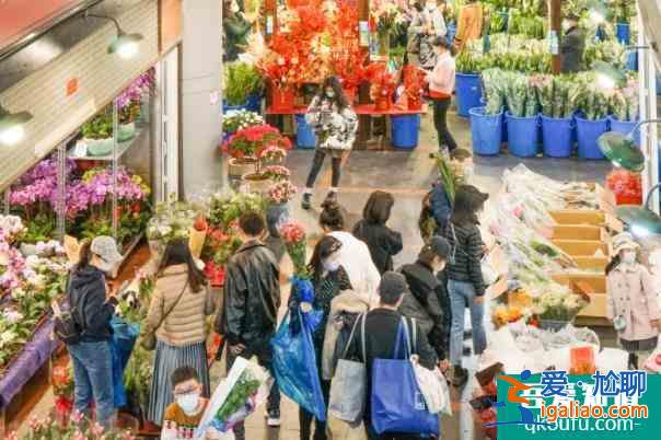 2022上海年宵花市有哪些 买年花过新年？