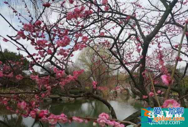 2022杭州超山风景区门票价格调整 冬季赏梅攻略？