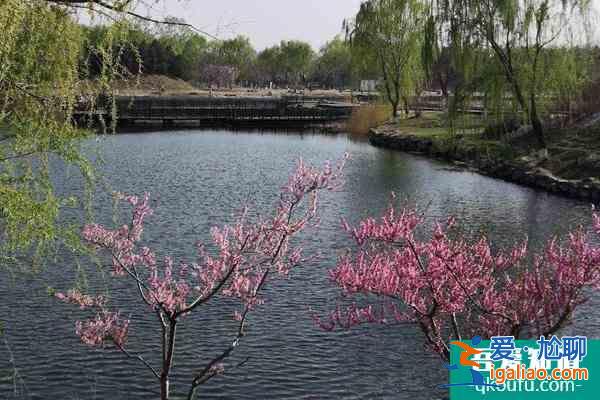 北京圆明园踏青节时间门票及交通介绍？