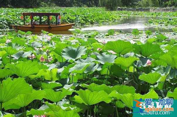 北京圆明园划船价格及营业时间介绍？