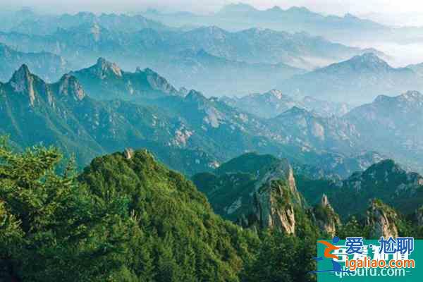 山东昆嵛山森林公园所有景区1月12日起关闭？