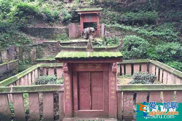 雅安蒙顶山新年虎福免门票活动详解？