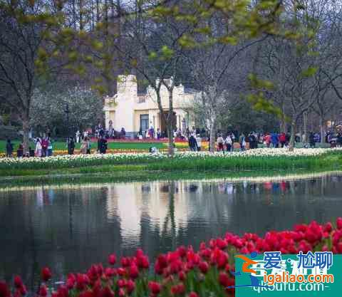 2022杭州西湖太子湾公园要门票吗？