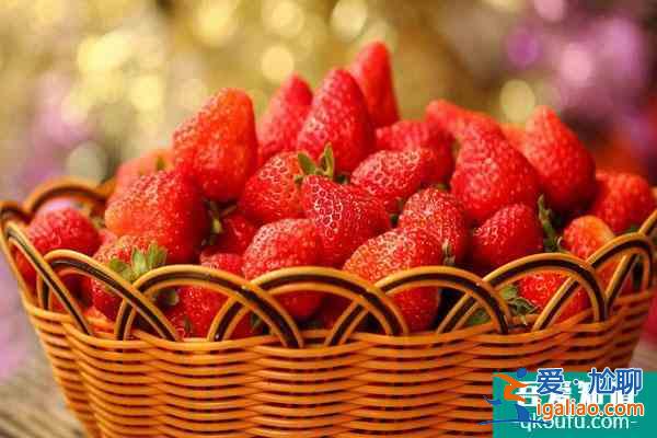 2022福州哪里有地方摘草莓 福州草莓园在哪里？