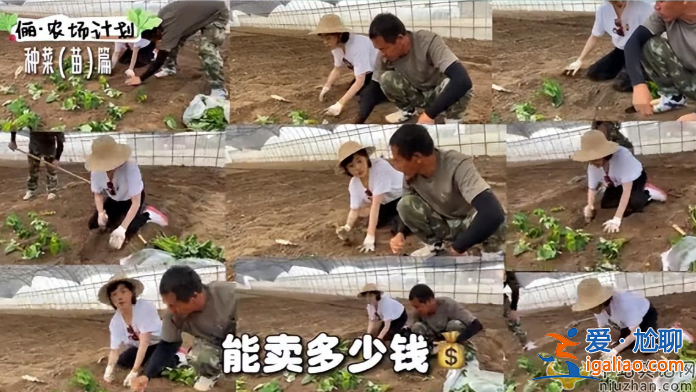 孙俪近况曝光!承包大棚翻土播种 网友留言纷纷点赞
