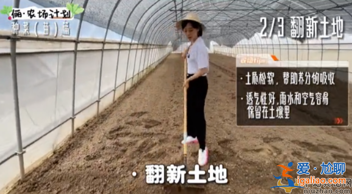 孙俪近况曝光!承包大棚翻土播种 网友留言纷纷点赞