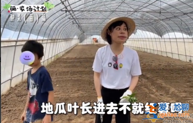 孙俪近况曝光!承包大棚翻土播种 网友留言纷纷点赞