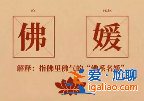 佛媛是什么意思？佛系名媛是什么？？