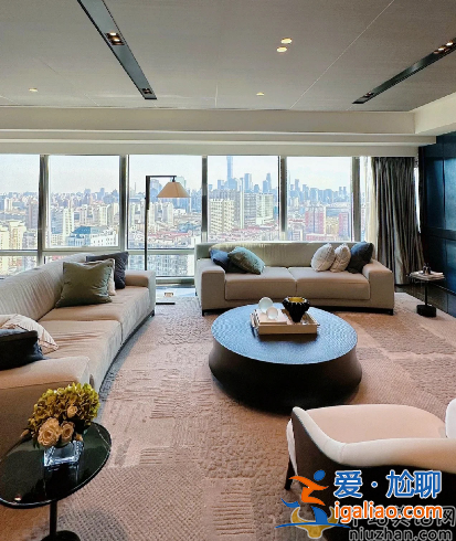 沈腾14万一平豪宅曝光!装修豪华简单明了 糟网友吐槽没有烟火气