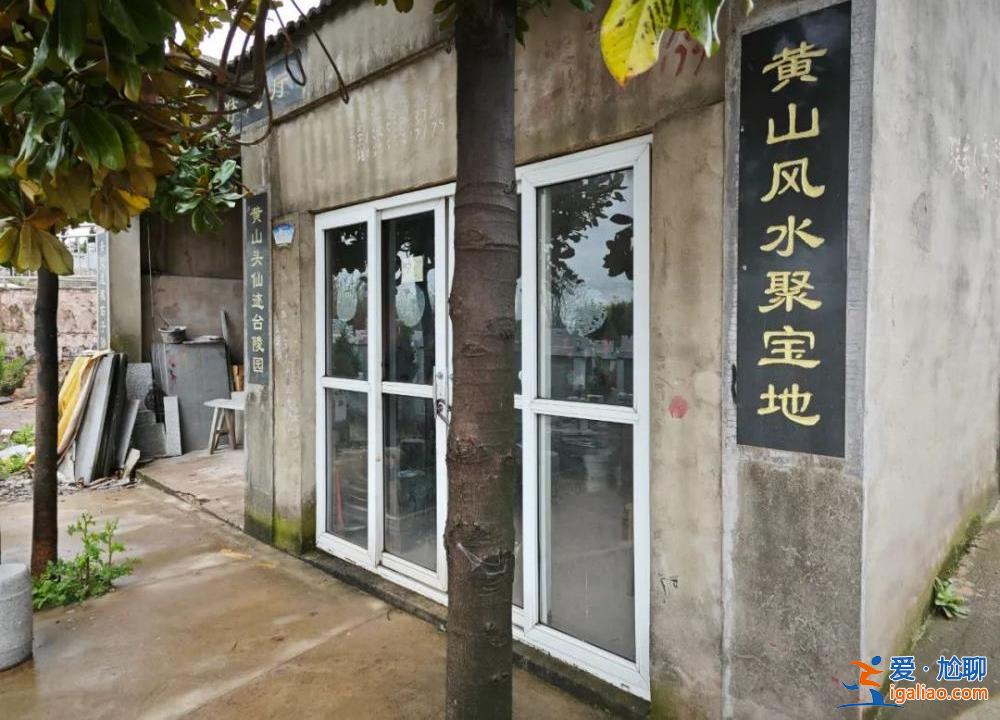 村中集体土地被侵占建墓地售卖 村民多次反映未果？