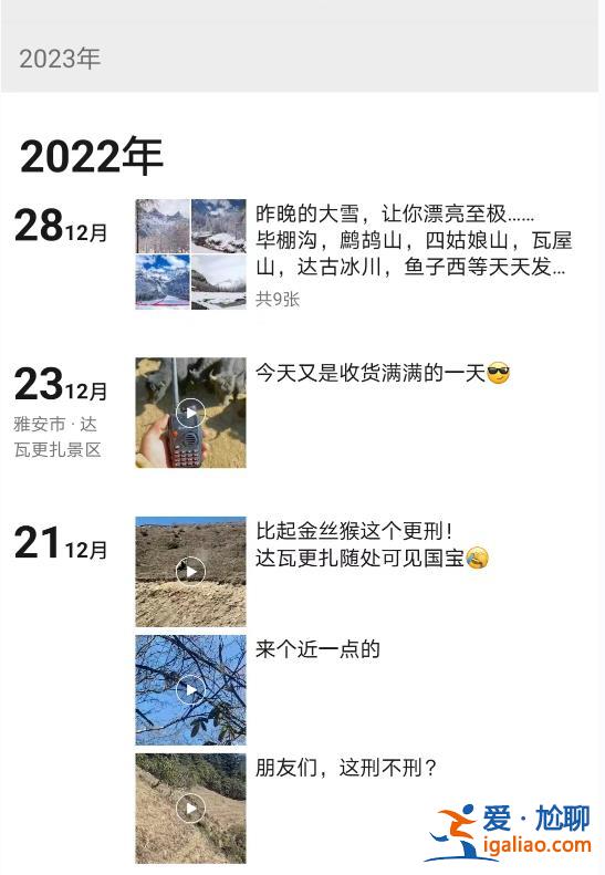 青海发现野生大熊猫？视频拍摄地实为四川达瓦更扎景区 系村民拍到？