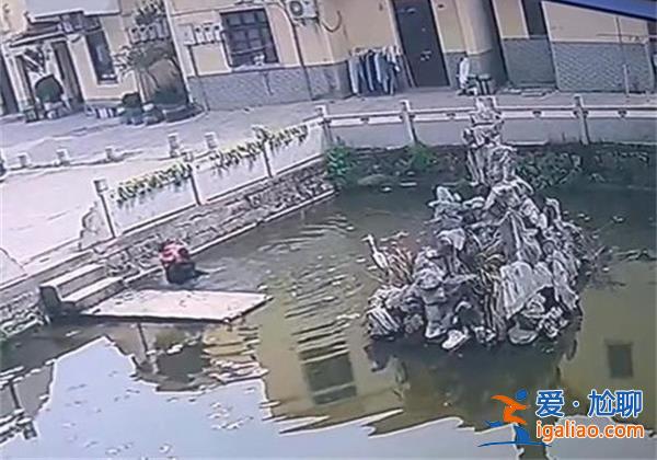 浙江男子直播时救下落水儿童被指故意炒作[炒作指责]？