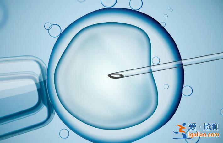 胚胎移植前什么不能吃?胚胎移植后什么不能吃?？
