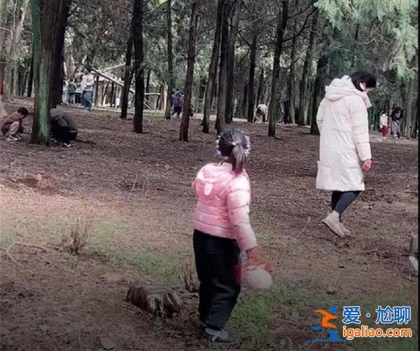 江苏一地上百人带工具进山挖黄金，当地回应挖的是昆虫[环境保护]？