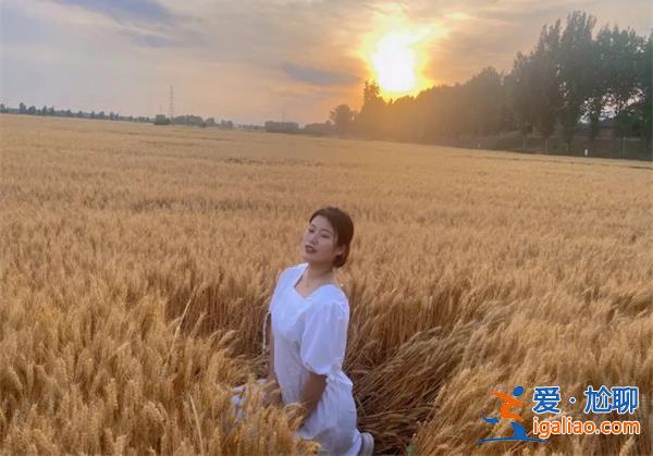 麦田成网红打卡地遭游客踩踏，损坏即将成熟的麦子[损坏麦子]？