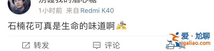 味道不可描述！石楠花又腥又臭 为什么还全国各地大面积种？