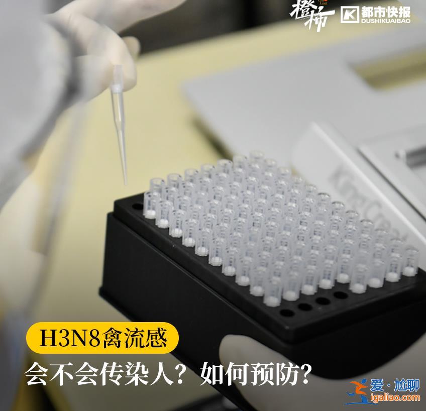 活禽接触或是感染关键？