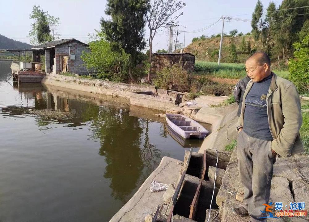 74岁老人惊险逃生 村民称上万斤鱼被冲跑？