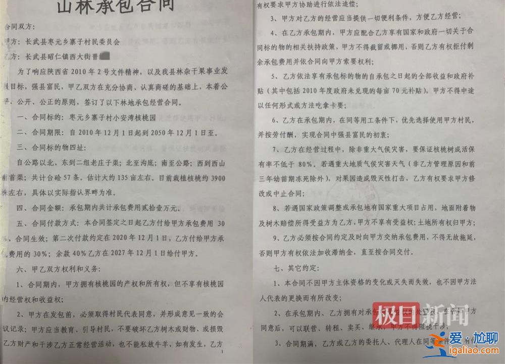 村民因合同纠纷10天砍树1600余棵 当地成立调查组？