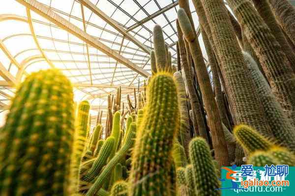 厦门除了鼓浪屿还有什么好玩的地方2022？