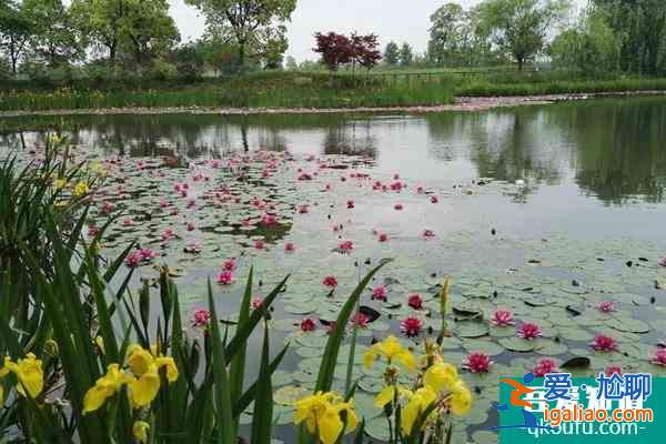 2022苏州受疫情影响太湖国家湿地公园临时闭园？