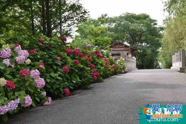 2022苏州受疫情影响太湖国家湿地公园临时闭园？