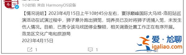 官方通报狮子意外跑出，未出现伤人情况[伤人情况]？