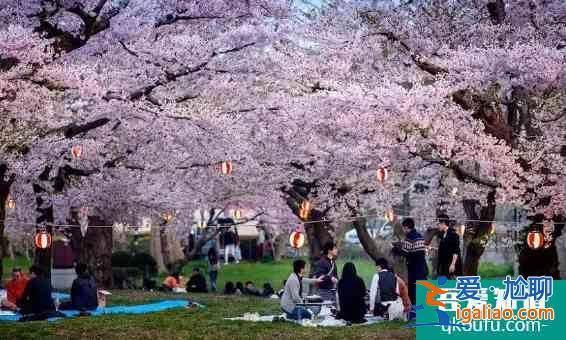 苏州哪里有樱花 2022苏州樱花观赏门票及地址介绍？