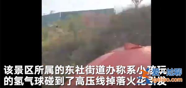 太原玉泉山景区一小孩玩氢气球碰到高压线后引发火灾[引发火灾]？