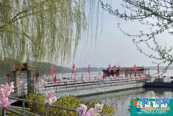 武汉东湖樱花园2022年开放时间 赏花攻略？