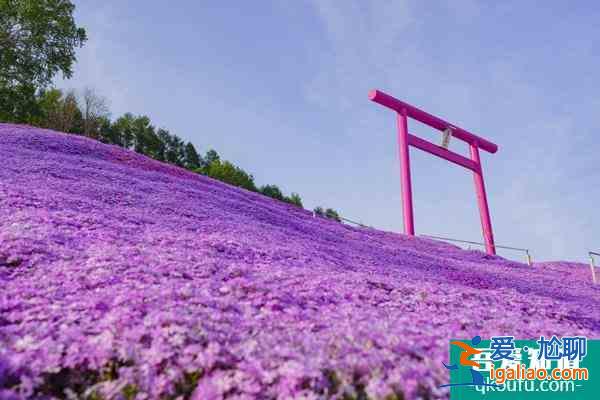 2022北海道樱花季观赏地点推荐 北海道有哪些旅游景点？